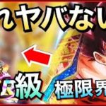 【ドッカンバトル】『LR級の通常ガシャ産』×『極限界王拳』使ってみた！！【Dragon Ball Z Dokkan Battle】【地球育ちのげるし】