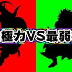 【ドッカンバトル】最強属性VS最弱属性 極限バトルロード【Dragon Ball Z Dokkan Battle】