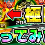 【ドッカンバトル】極限LR ブロリーのハイパー無双がやばすぎる【Dragon Ball Z Dokkan Battle】