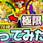 【ドッカンバトル】イベント産の極限キャベを使ってみた【Dragon Ball Z Dokkan Battle】