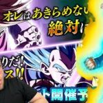 PRÓXIMO LR CONFIRMADO!! TRUNKS E VEGETA NO TANABATA JP!! | Dragon Ball Z Dokkan Battle
