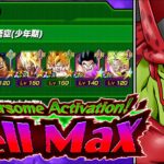 BEATING CELL MAX WITH PHY KID GOKU TEAM! Dragon Ball Z Dokkan Battle