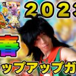 【ドッカンバトル】2023年新春ステップアップDOKKANフェスを運試しに引いてみた結果!!