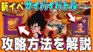 【 超安定のガチ編成攻略 】栽培マンの戦闘訓練を解説！#超DOKKANキャンペーン第2弾｜ドッカンバトル【 ソニオTV 】