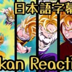 ドッカンバトル LR 悟空&悟飯 リアクション           Dokkan LR Goku&Gohan Reaction