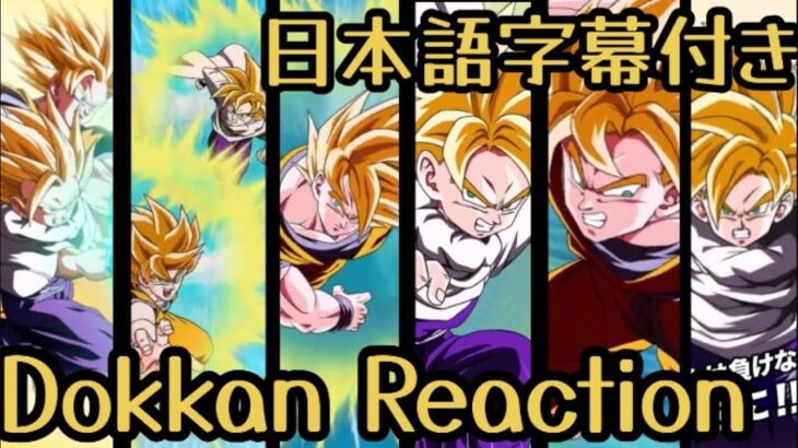 ドッカンバトル LR 悟空&悟飯 リアクション           Dokkan LR Goku&Gohan Reaction