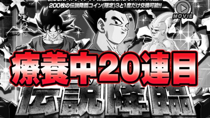 【ドッカンバトル】療養暇で本日の10連。2日目【DRAGONBALL Z Dokkan Battle】