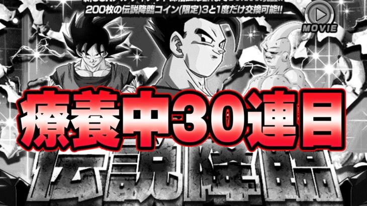 【ドッカンバトル】PU確定回。療養暇で本日の10連。3日目【DRAGONBALL Z Dokkan Battle】