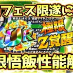 【ドッカンバトル】サプライズ極限が来た！軽減+全ガ+大幅無限上昇持ちの極限孫悟飯青年期性能解説！