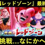 【ドッカンバトル】ブウ編レッドゾーン最終決戦・『vs純粋ブウ』に初見挑戦！なんか色々ヘン…？