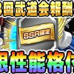 【再生して2秒で結論】天下一武道会報酬SSR極限キャラ性能格付け│#超DOKKANキャンペーン│ドッカンバトル【ソニオTV】