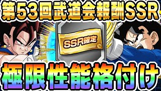 【再生して2秒で結論】天下一武道会報酬SSR極限キャラ性能格付け│#超DOKKANキャンペーン│ドッカンバトル【ソニオTV】