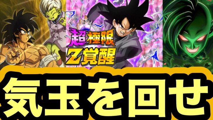 【ドッカンバトル】正常に働くために気玉を回せ‼︎超極限ゴクウブラック使ってみた！【Dragon Ball Z Dokkan Battle】