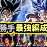 【ドッカンバトル】新フェス限LR身勝手の極意孫悟空の最強編成考察‼︎【Dragon Ball Z Dokkan Battle】