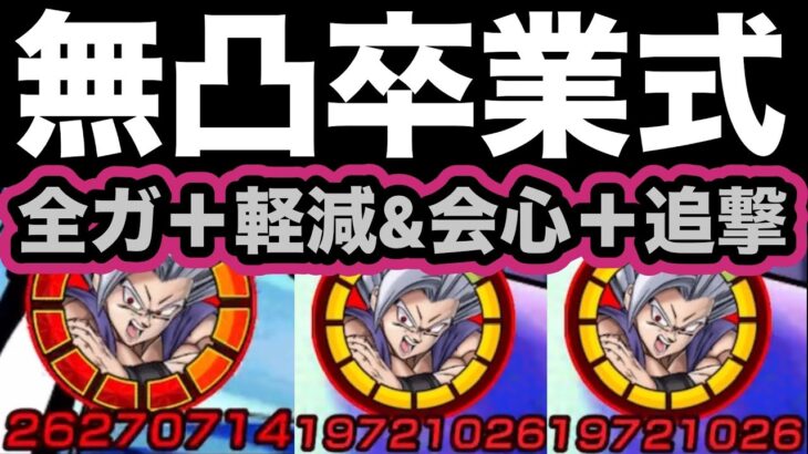 【ドッカンバトル】明日遂に無凸卒業！9周年LR孫悟飯ビーストさん結局強すぎた‼︎【Dragon Ball Z Dokkan Battle】