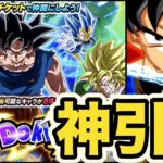 ※音量注意　超感謝ガシャチケットにマジで感謝！【ドッカンバトル】【Dragon Ball Z Dokkan Battle】