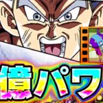 【全ちゃんLv3】シン・身勝手が大爆発！最高難易度をオーバーキルしすぎ【Dragon Ball Z Dokkan Battle】