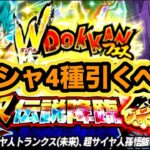 【ドッカンバトル】今年は色々事情が違う夏の大型CPのガシャ引くべきか解説‼︎【Dragon Ball Z Dokkan Battle】