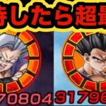 【ドッカンバトル】やはり別格！新旧ビーストコンビ接待して使ったらヤバすぎた‼︎【Dragon Ball Z Dokkan Battle】