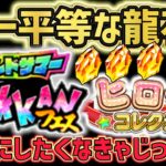 【ドッカンバトル】サマーフェス ヒロインガシャ 理不尽なガシャで唯一平等な龍石を無駄にしたくなきゃじっとしろ！【DragonBallZDokkanBattle】