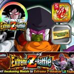 LR TURLES EZA!!!! WORLDWIDE CELEBRATION! HEATED SHOWDOWN CAMPAIGN COUNTDOWN! DBZ Dokkan Battle