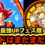 【ドッカンバトル】去年の最強URフェス限ゴッド悟空は現役だった！大事なことだからもう一回、ゴッド悟空は、現役だった！【Dragon Ball Z Dokkan Battle】