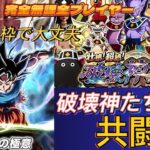 【ドラゴンボールZドッカンバトル】完全無課金プレイヤー　破壊神集結　共闘２ 今回極限した２体使用し攻略 　無課金者攻略可能【Dragon Ball Z Dokkan Battle】