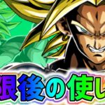 【ドッカンバトル】世界同時CP LR超サイヤ人ブロリーの極限Z覚醒後の最強な使い方！【DragonBallZDokkanBattle】