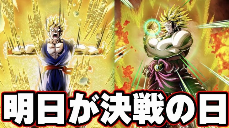 【ドカバト生】いよいよ明日だけど皆どうしよっか？？【ドッカンバトル】【DRAGONBALL Z Dokkan Battle】