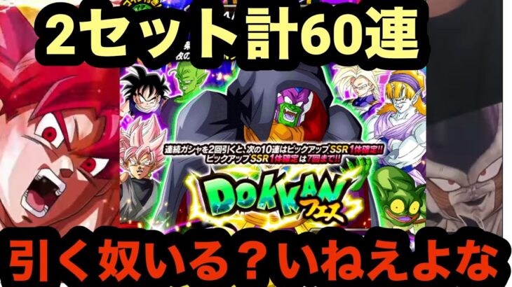 遂にフェス限化したスラッグ狙ってドッカンフェス２セット60連引いてみた！【ドッカンバトル】【Dragon Ball Z Dokkan Battle】