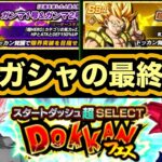 結局例のゴジータガンマガシャどうなった？【ドッカンバトル】【Dragon Ball Z Dokkan Battle】