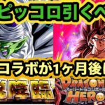 【ドッカンバトル】LR交代悟飯ピッコロさんの伝説降臨は引くべきかについて解説‼︎【Dragon Ball Z Dokkan Battle】