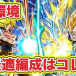 【ドッカンバトル】極限秒読みの2大巨頭の最適編成を紹介します！！【DokkanBattle】