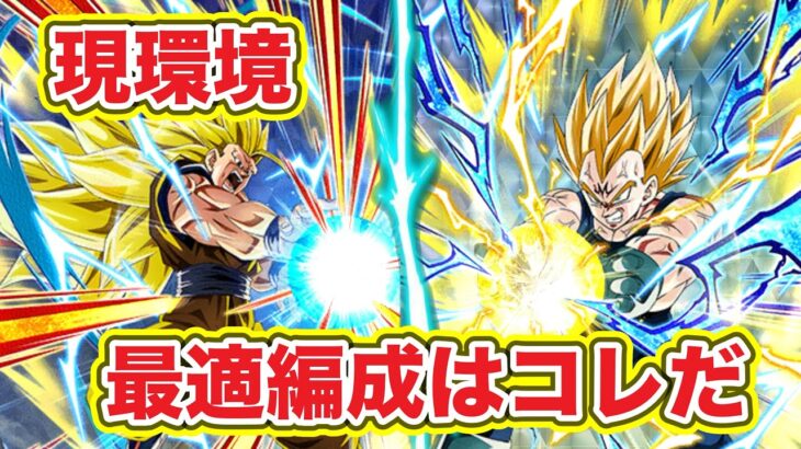 【ドッカンバトル】極限秒読みの2大巨頭の最適編成を紹介します！！【DokkanBattle】