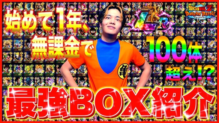 【ドッカンバトル】LR100体超え!? 無課金で1年間やり込んだ最強キャラBOXが異次元すぎたwww【BOX紹介 前編】