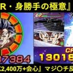 【ドッカンバトル】『七夕LR身勝手』、遂に出撃！『ATK2,400万+会心』のマジヤバ過ぎる行動後反撃を見てください