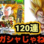 近年稀に見るクソPU！祭ゴテンクスの聖龍祭120連引いてみた！【ドッカンバトル】【Dragon Ball Z Dokkan Battle】