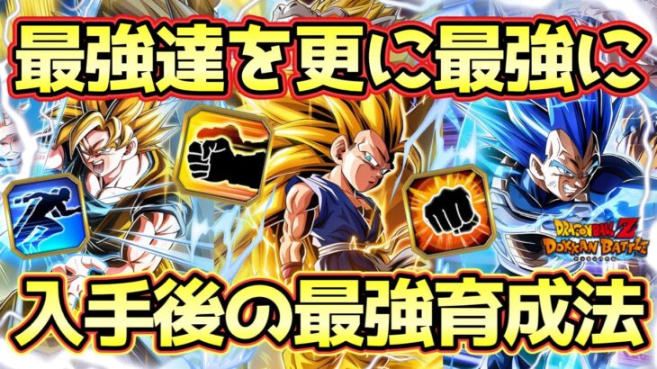 【ドッカンバトル】最強キャラが更に強くなる！10周年限定3体入手後の最強育成法解説！特に潜在の振り方は間違えると大変です！