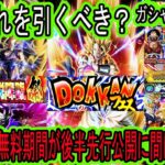 【ドッカンバトル】10周年前後半ガシャどれを引くべき？前半無料期間が後半先行公開に間に合わない！！後半人選判明後ガシャ優先度予想！引くべきは○○！「ドッカンフェス」「頂伝説降臨祭」「超ゴジータ」