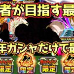 【ドッカンバトル】10周年のガシャだけで最強編成が組めます！初心者はこの編成を目指してガシャや育成をしましょう！