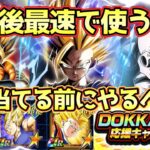 【ドッカンバトル】新キャラ当てる準備は出来てる？遂に解禁される10周年後半目玉キャラ3体を当てる前にやるべき事解説！これ集めておけば多分OK！