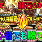 【ドッカンバトル】10周年初心者様でも勝てます！『極限Zバトル』バカヤロー悟空フリーザフルパワー爆速攻略編成！【DragonBallZDokkanBattle】