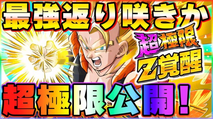 最強編成にも入る！？超ゴジータとスーパージャネンバが超極限Z覚醒！【ドッカンバトル】 Dragon Ball Z Dokkan Battle