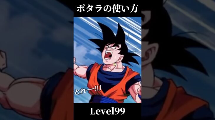 【ドッカンバトル】真・ポタラの使い方 #dokkan #ドラゴンボール #ネタ #ドラゴンボールネタ #dragonball #ドッカンバトル #ドッカンバトル10周年 #ベジット #悟空 #ポタラ