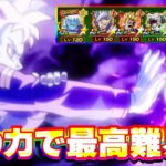 隠れ強カテゴリ魔の力で復活フリーザに挑戦してみた【ドッカンバトル】