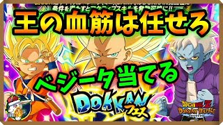 【ドッカンバトル 5430】ベジータなら簡単に当てちゃうよ！？DAIMAフェス開幕！！【Dokkan Battle】