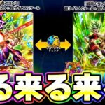 次のLRはカリフラ＋ケールでリバチェン来る来るー！！【ドッカンバトル】