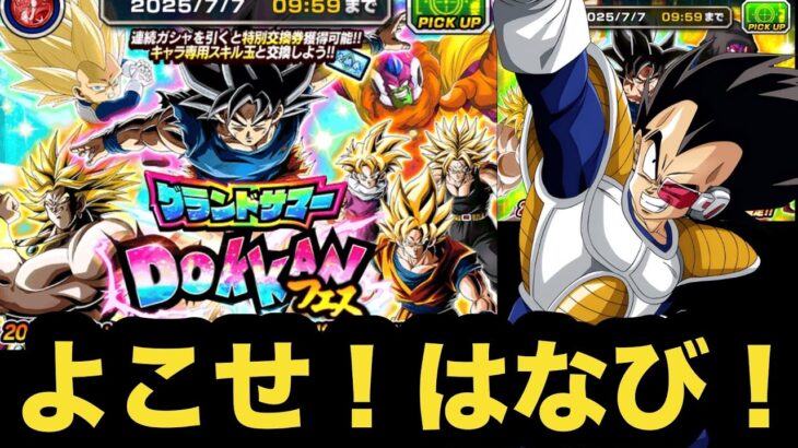 誰よりも汚ねえ花火ベジータが欲しい男のグランドサマードッカンフェス引いてみた！【ドッカンバトル】【Dragon Ball Z Dokkan Battle】