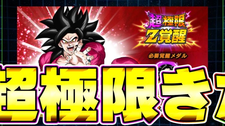 2周年たちの超極限性能きたきたきたー【ドッカンバトル】