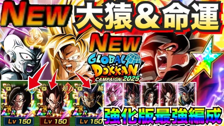 ATK1200%＆DEF1700%『3体期間限定強化』最強大猿パワー＆命運をかけた闘い『最強編成』が超楽しくてぶっ壊れました！！【ドッカンバトル】【地球育ちのげるし】